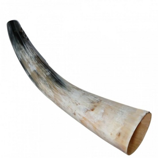 Bőgőkürt 35-40 cm